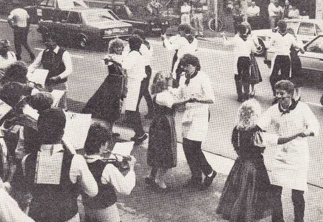 Planpaare aus dem Jahr 1986